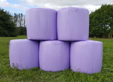 Silage Film